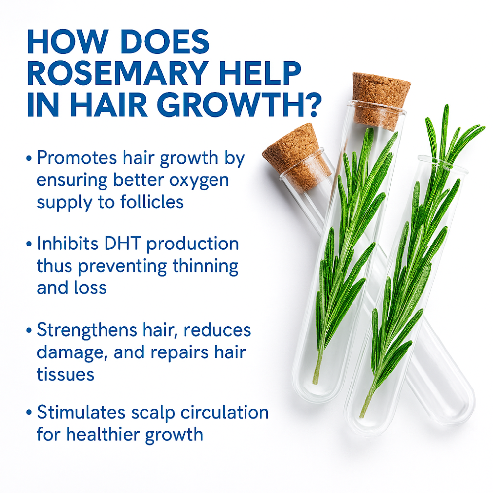 Eloura Hair Growth Serum Roll-on