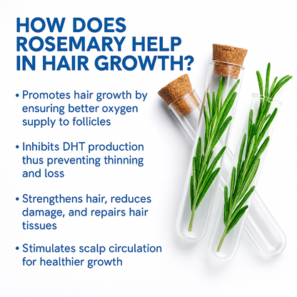 Eloura Hair Growth Serum Roll-on